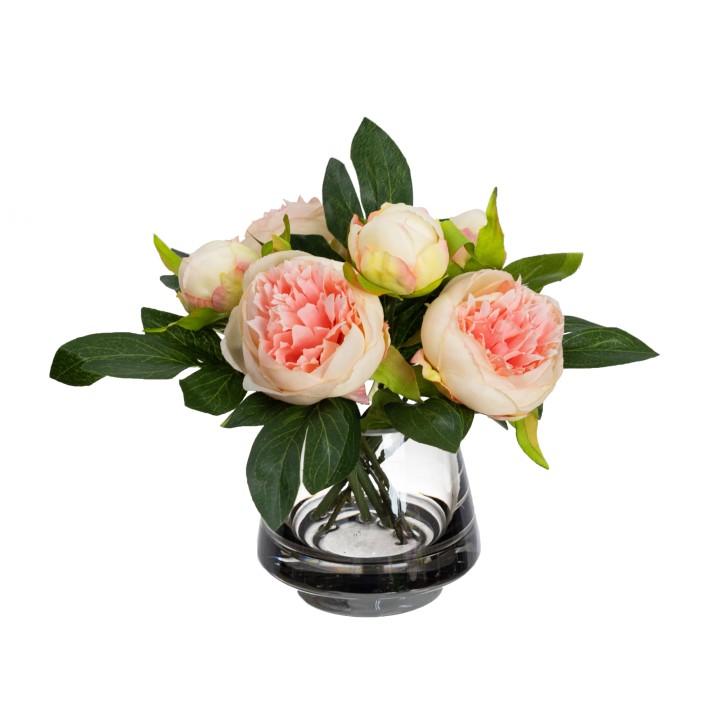 20CM PEONY ARRANGEMENT IN GLASS SALMON