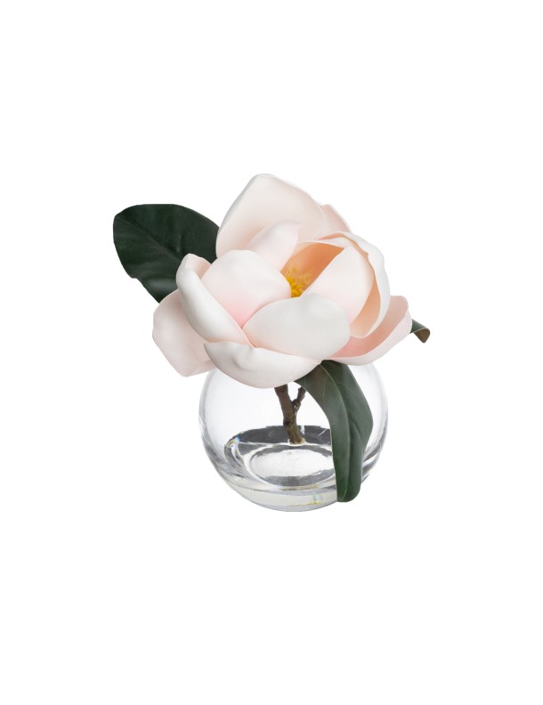 MAGNOLIA IN FISHBOWL  - LAST 2PCS