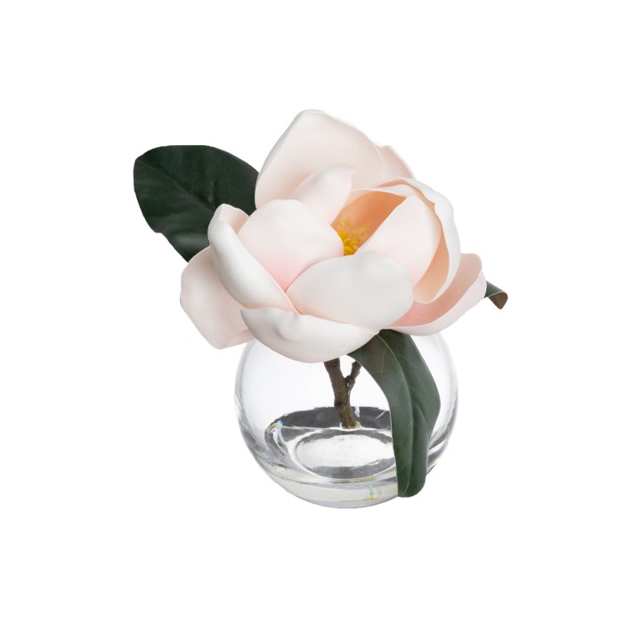 MAGNOLIA IN FISHBOWL  - LAST 2PCS
