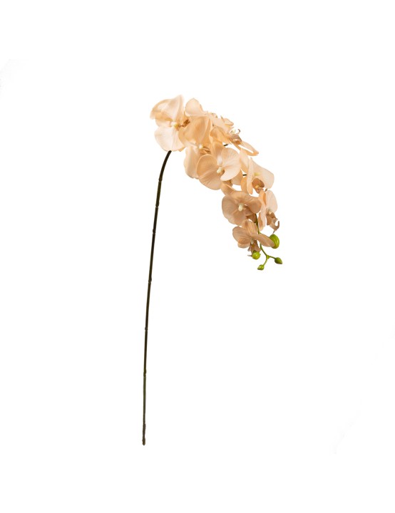 105CM REAL TOUCH PHAL ORCHID APRICOT - LAST 10PCS