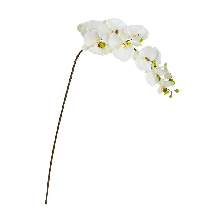 105CM REAL TOUCH PHAL ORCHID APPLE GREEN