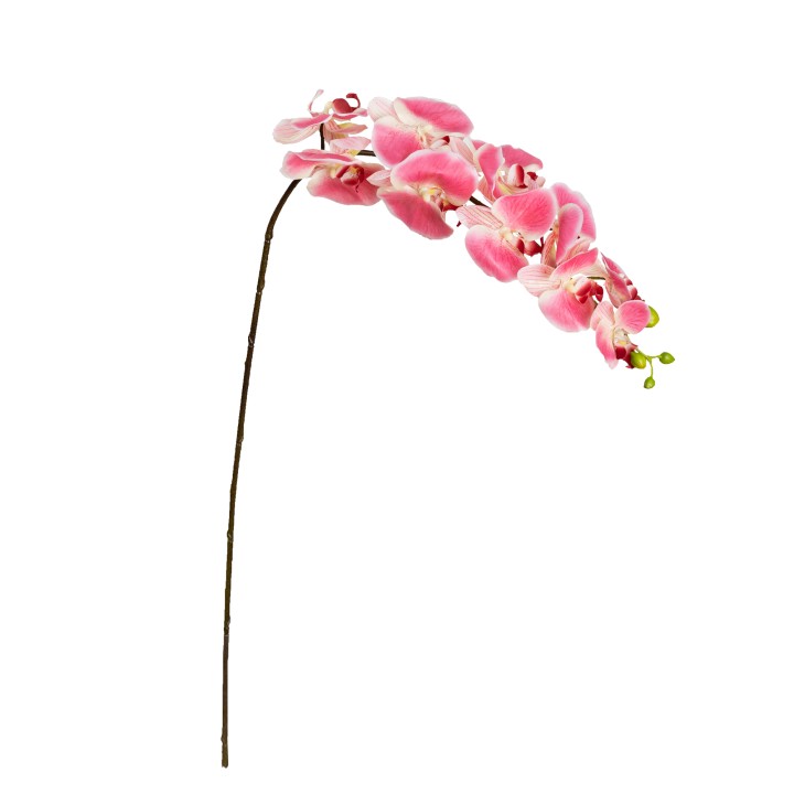 105CM REAL TOUCH PHAL ORCHID PINK