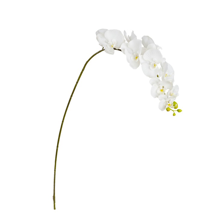 105CM REAL TOUCH PHAL ORCHID WHITE