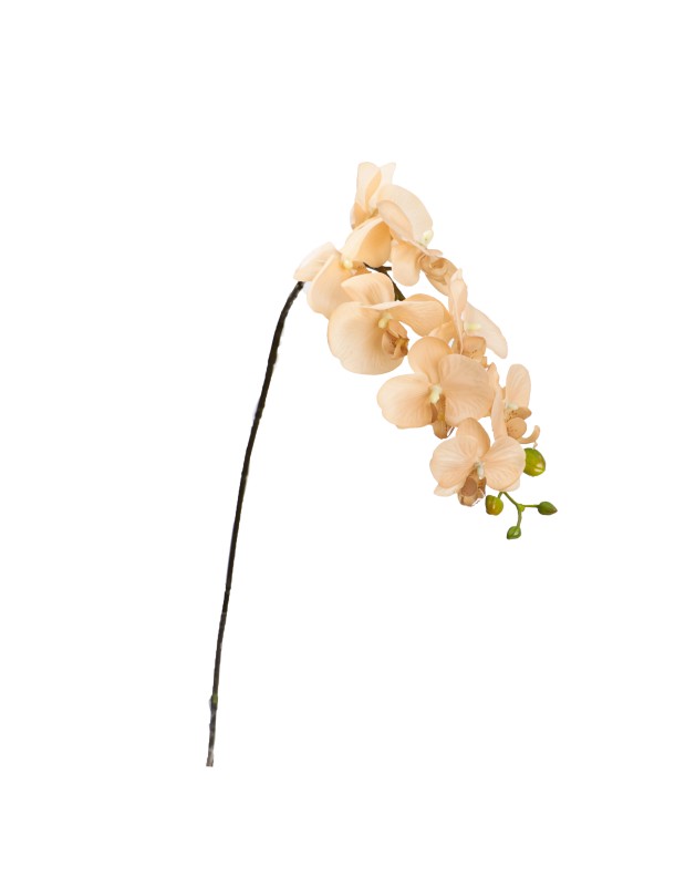 90CM REAL TOUCH PHAL ORCHID APRICOT - LAST 8PCS