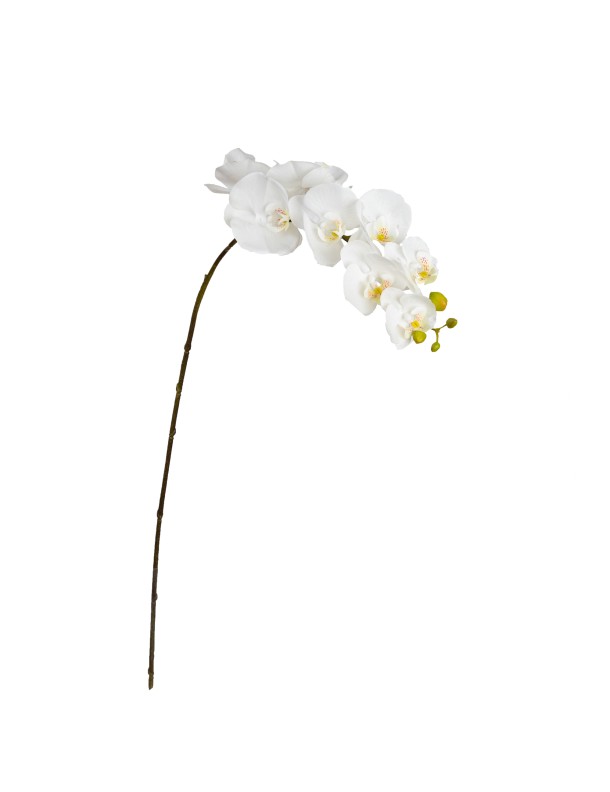 90CM REAL TOUCH PHAL ORCHID WHITE - LAST 6 PIECES