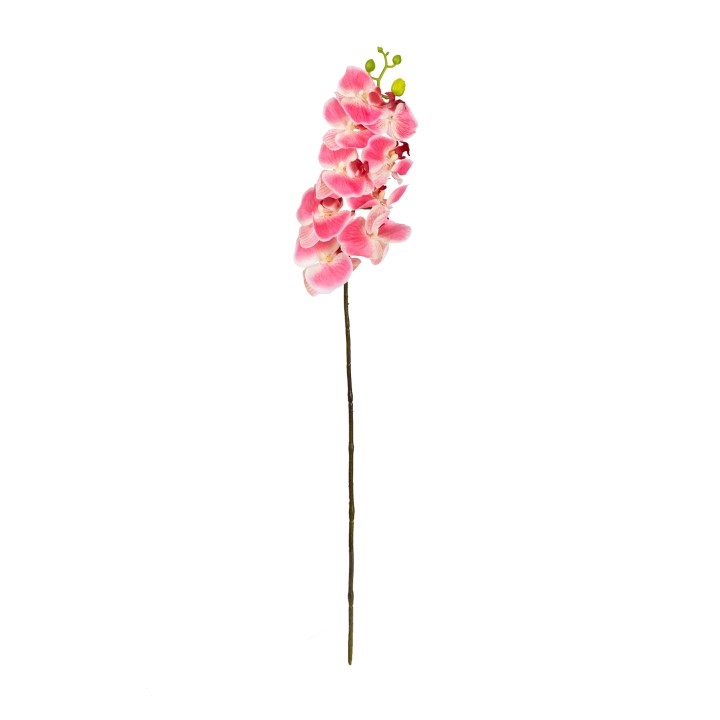 80CM REAL TOUCH PHAL ORCHID PINK