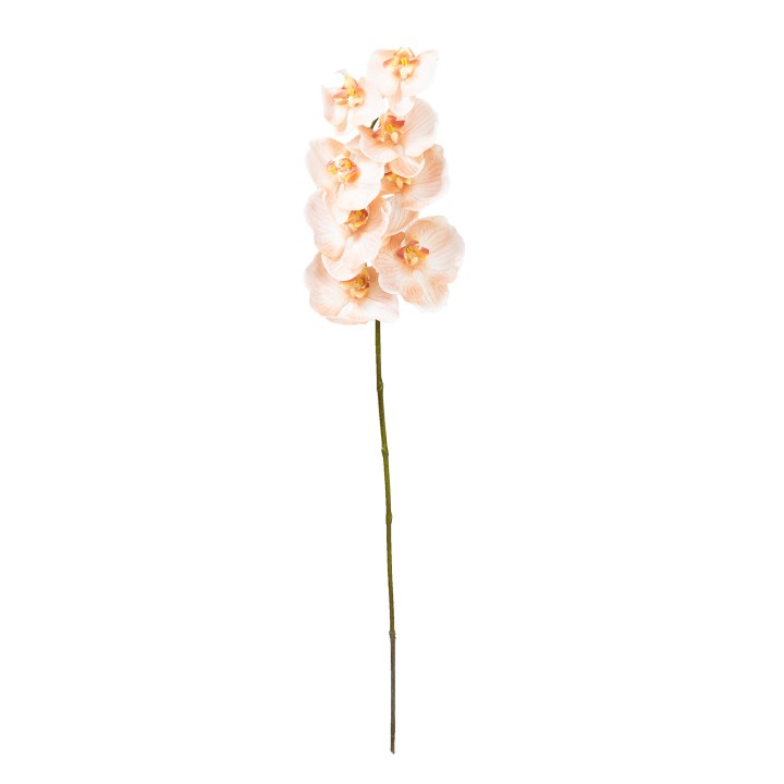 84CM REAL TOUCH PHAL ORCHID SALMON