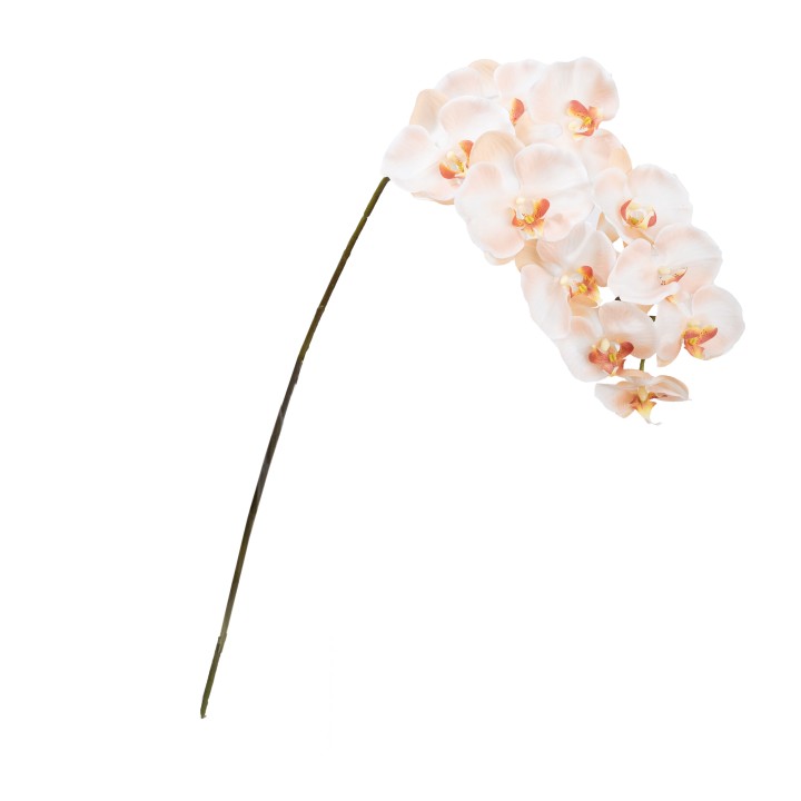 105CM REAL TOUCH PHAL ORCHID LIGHT SALMON