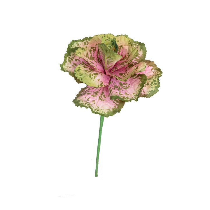 34CM ORNAMENTAL CABBAGE
