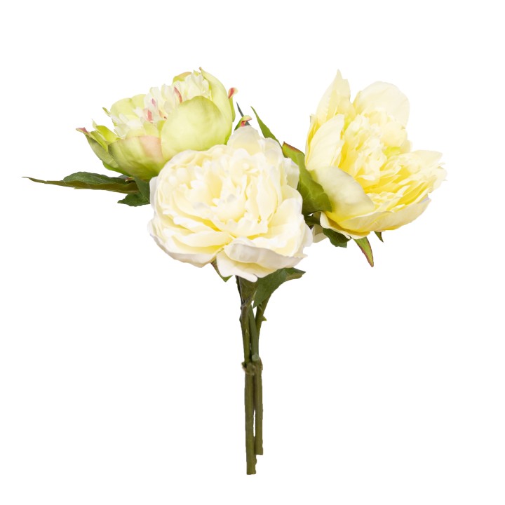 31CM PEONY BUNDLE