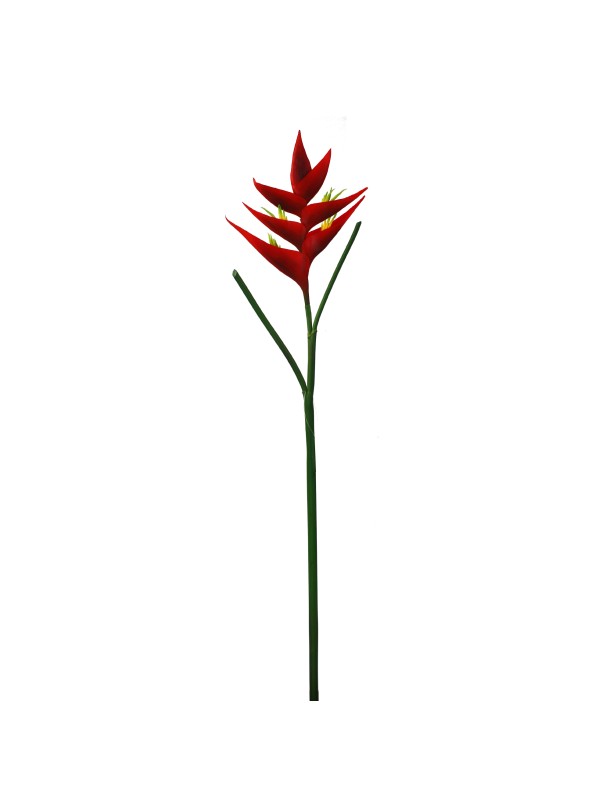 88CM HELICONIA