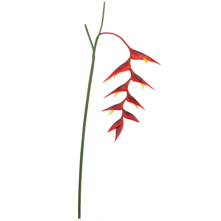 137CM HELICONIA HANGING RED