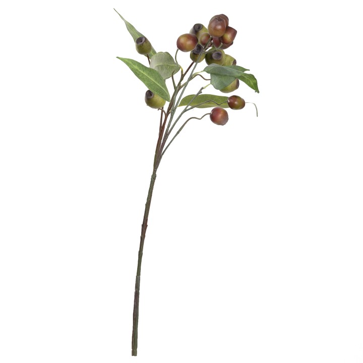 64CM GUM NUT SPRAY COFFEE