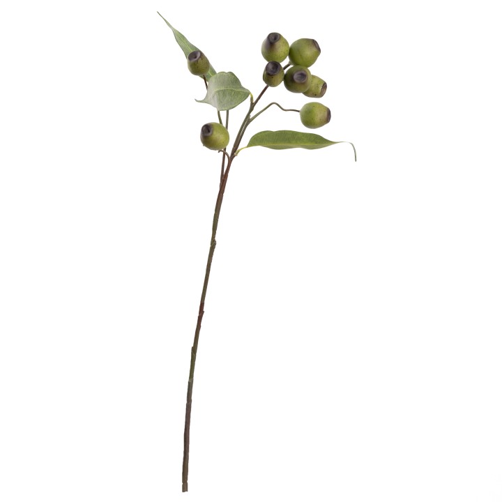 64CM GUM NUT SPRAY GREEN