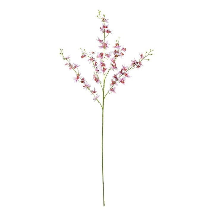 100CM DANCING LADY ORCHID PINK