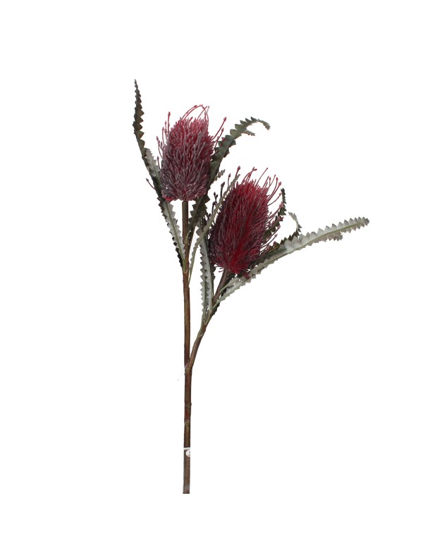 80CM BANKSIA SPRAY BURGUNDY