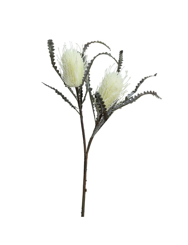 80CM BANKSIA SPRAY WHITE