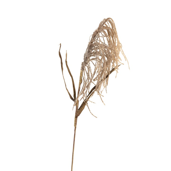 100CM WEEPING PAMPER GRASS LIGHT BROWN