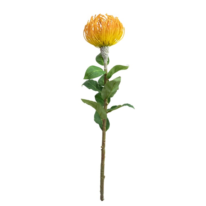 75CM FLOCKED LEUCOSPERMUM YELLOW