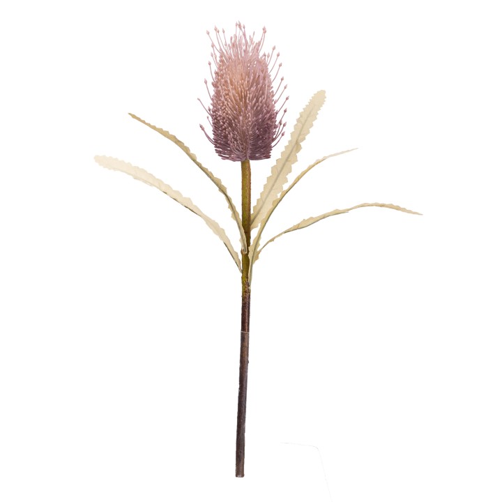 46CM BANKSIA PURPLE