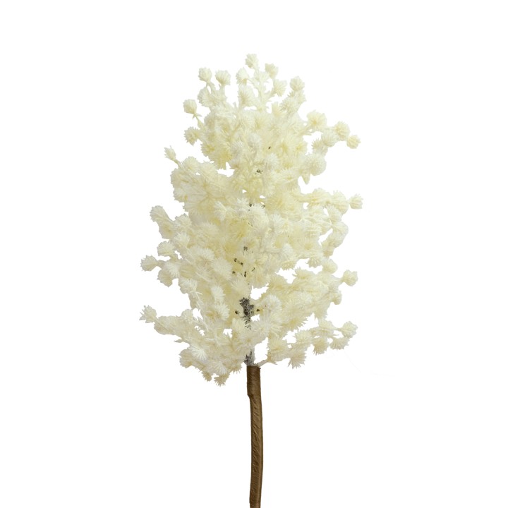 90CM PAMPERS STEM VANILLA