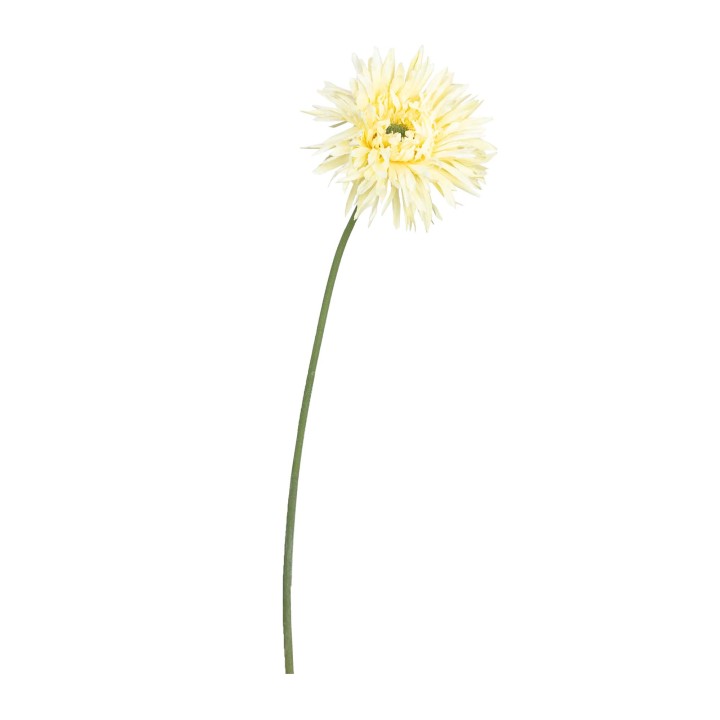 45CM DAISY GERBERA BUTTER