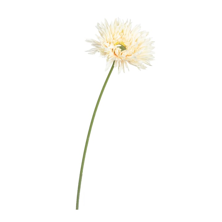 45CM DAISY GERBERA CREAM PINK