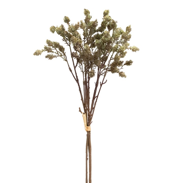 44CM MINI PINE BUNDLE MOSS