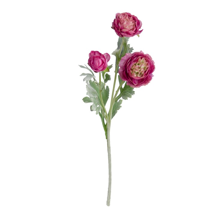51CM RANUNCULUS SPRAY FUCHSIA
