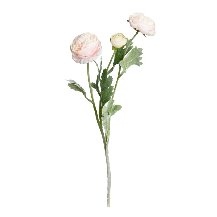51CM RANUNCULUS SPRAY SOFT PINK