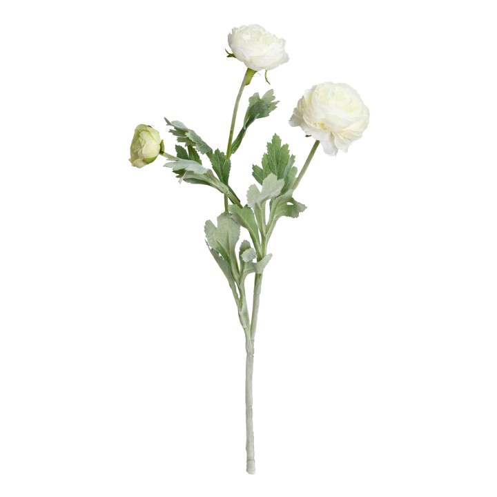 51CM RANUNCULUS SPRAY WHITE