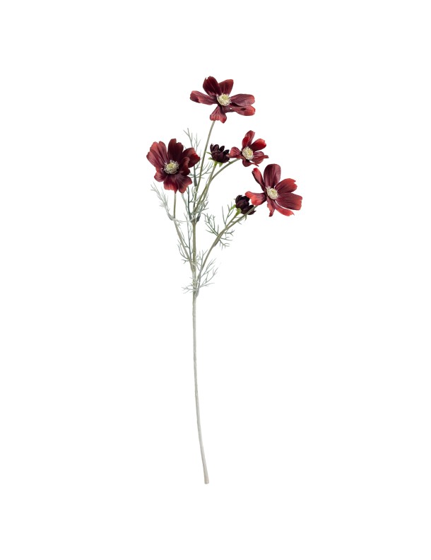 60CM COSMO SPRAY BURGUNDY