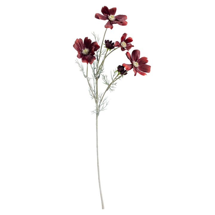 60CM COSMO SPRAY BURGUNDY