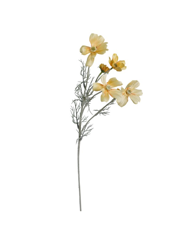 60CM COSMO SPRAY YELLOW (LAST 36PCS)