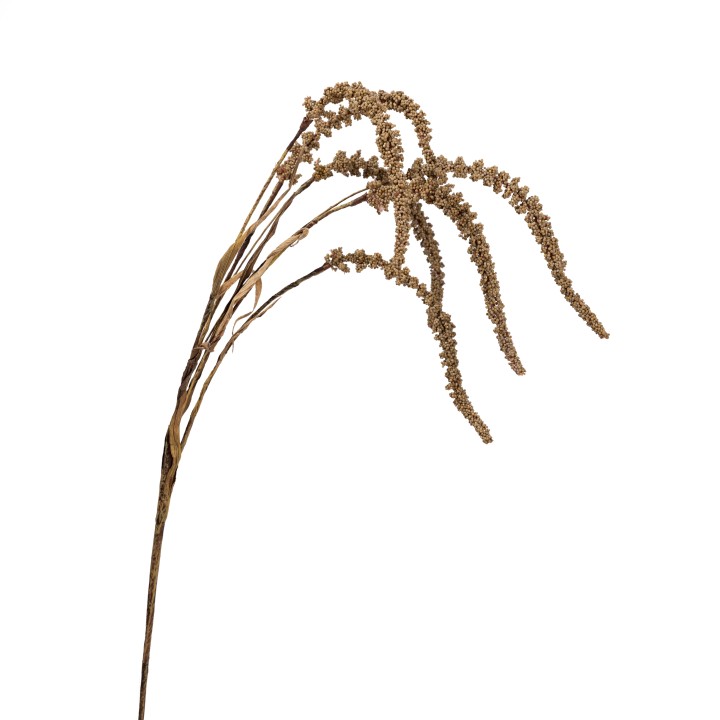 94CM AMARANTHUS HANGER BROWN