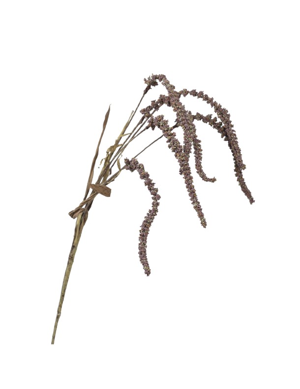 94CM AMARANTHUS HANGER PURPLE