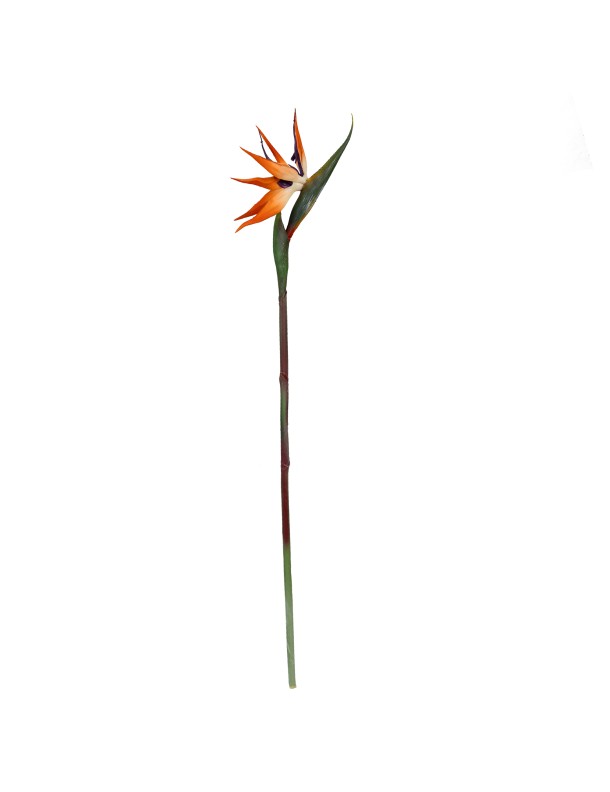 85CM BIRD OF PARADISE (LAST 12 AVAILABLE)