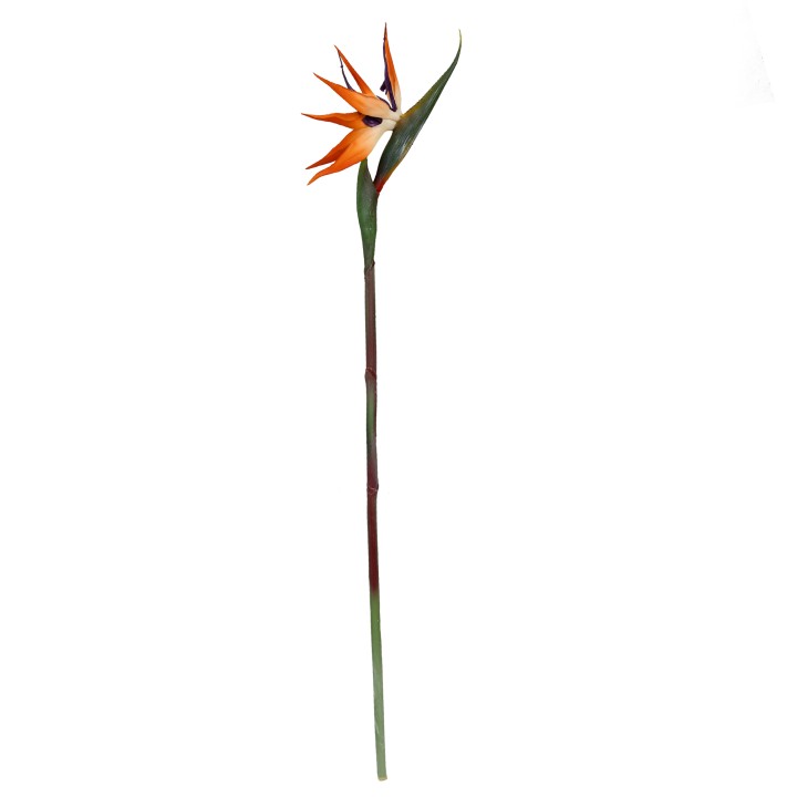 85CM BIRD OF PARADISE (LAST 12 AVAILABLE)