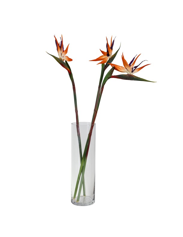 85CM BIRD OF PARADISE (LAST 12 AVAILABLE)