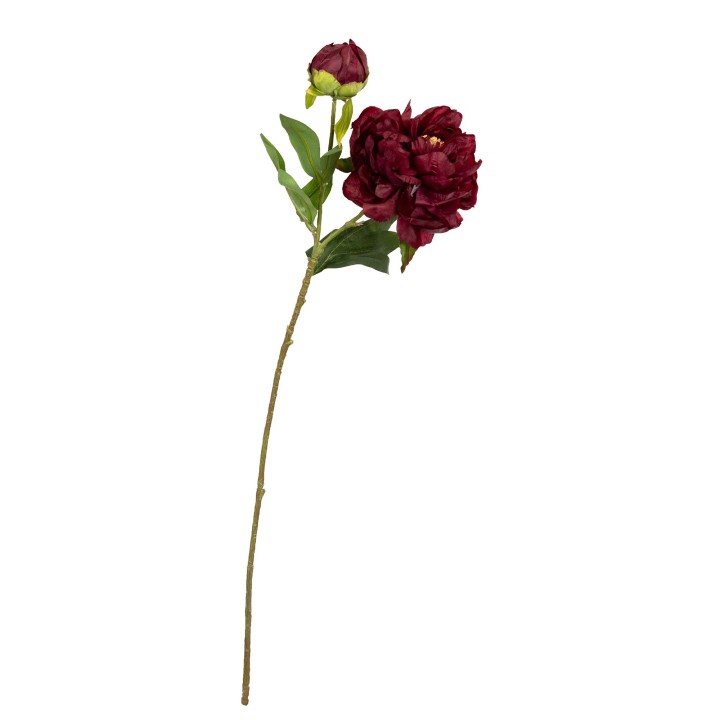 67CM PEONY SPRAY WINE