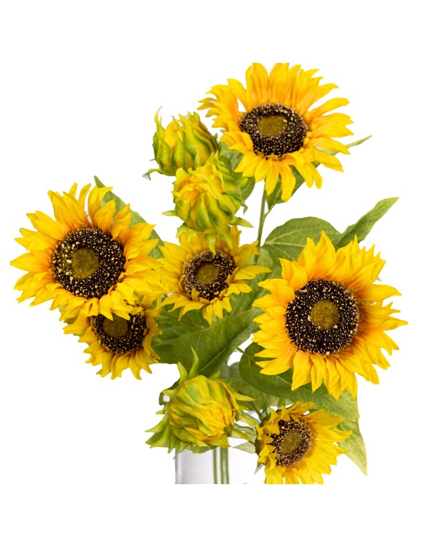 67CM SUNFLOWER SPRAY