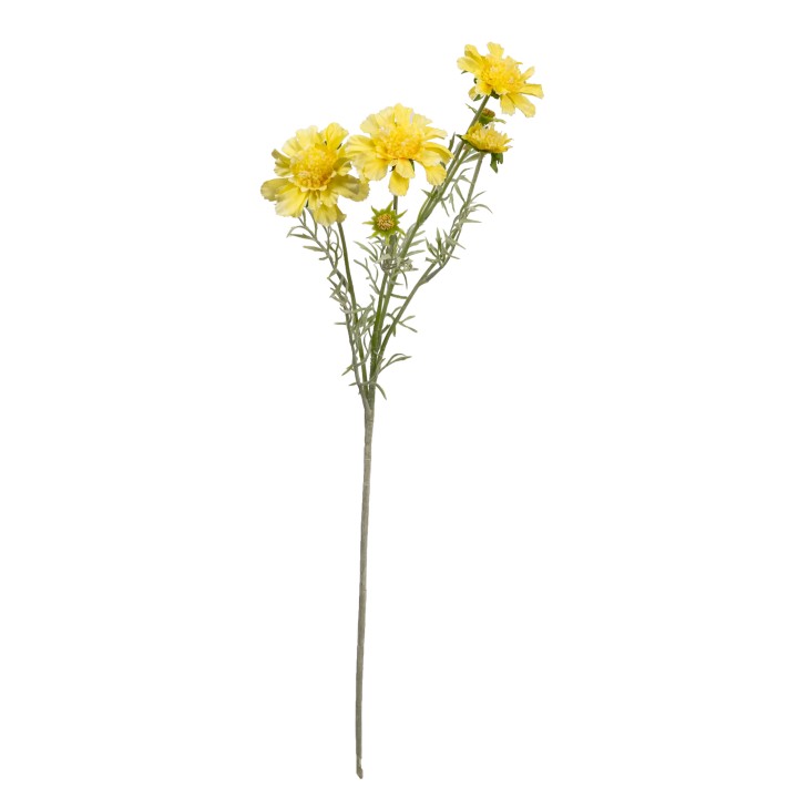 60CM PINCUSHION SPRAY YELLOW