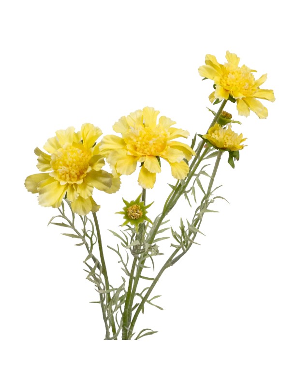 60CM PINCUSHION SPRAY YELLOW