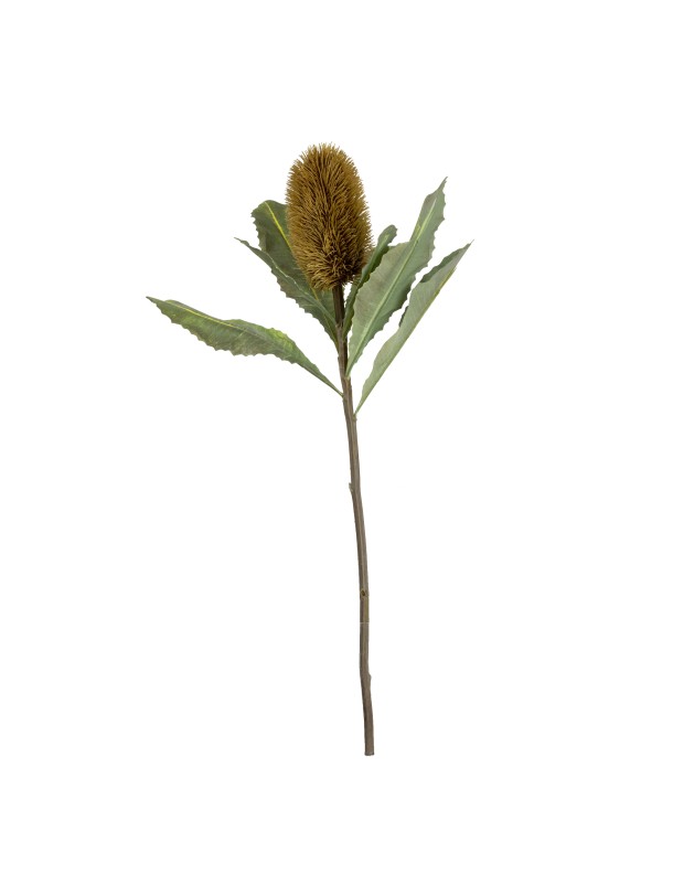 64CM BANKSIA WITH LEAF (LAST 78PCS)