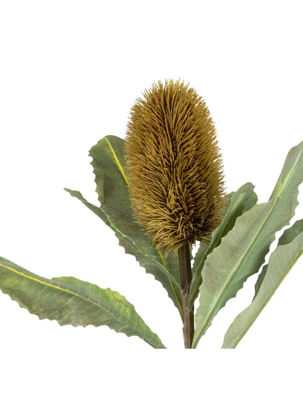 64CM BANKSIA WITH LEAF (LAST 78PCS)