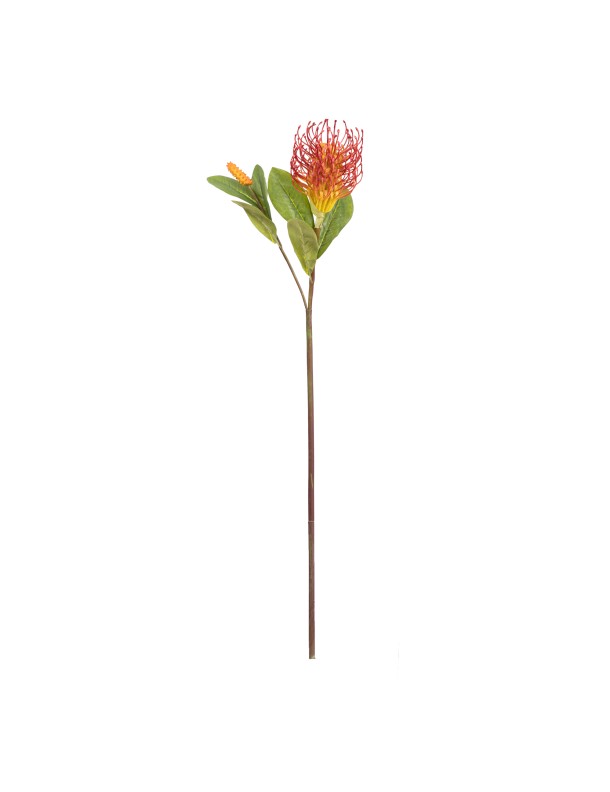 58CM LEUCOSPERMUM SPRAY RED