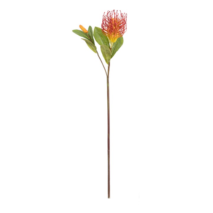 58CM LEUCOSPERMUM SPRAY RED