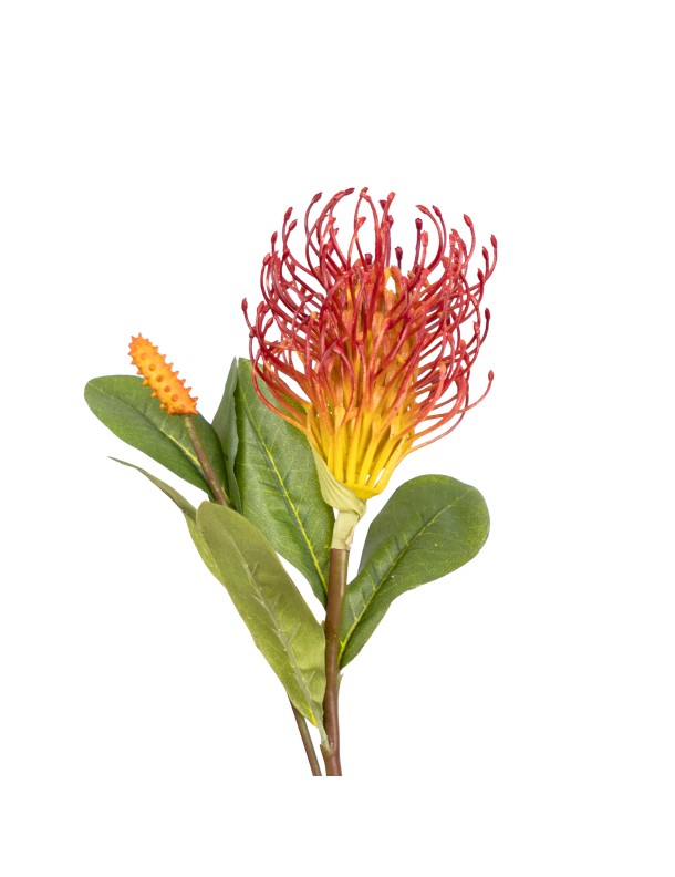 58CM LEUCOSPERMUM SPRAY RED