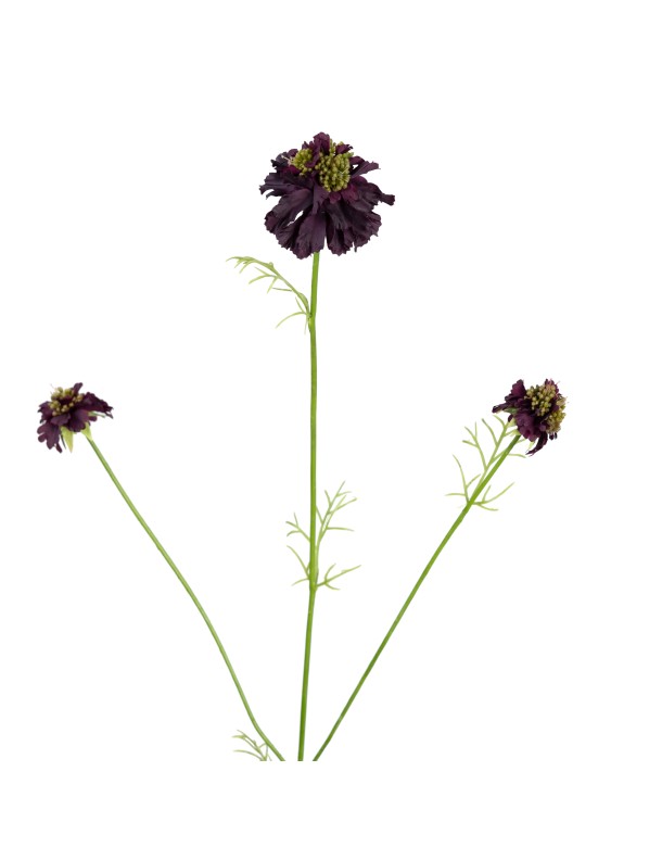 77CM SCABIOSA SPRAY PLUM BLACK