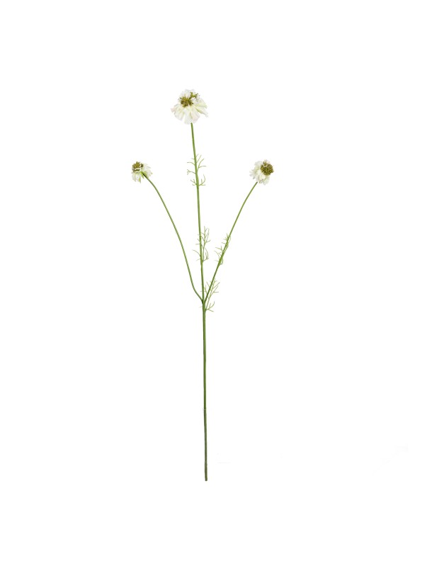 77CM SCABIOSA SPRAY WHITE